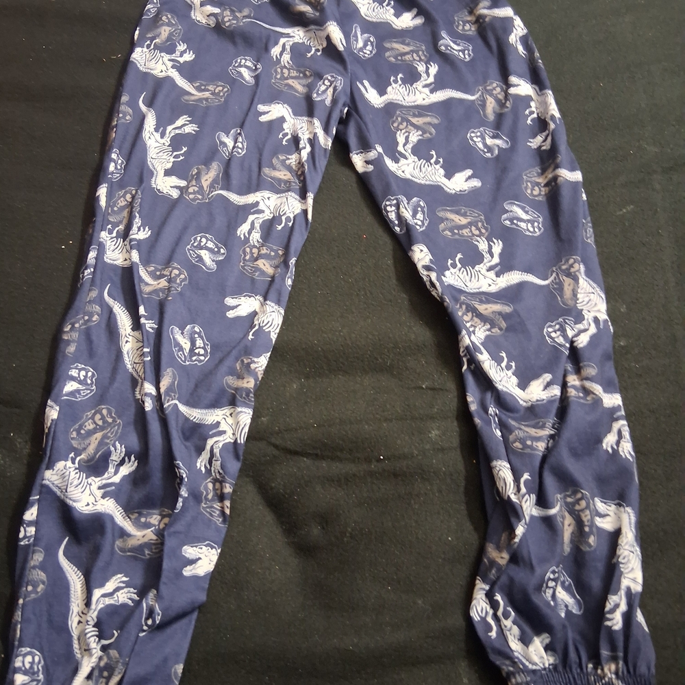 Dinosaur Print Pajama Pants